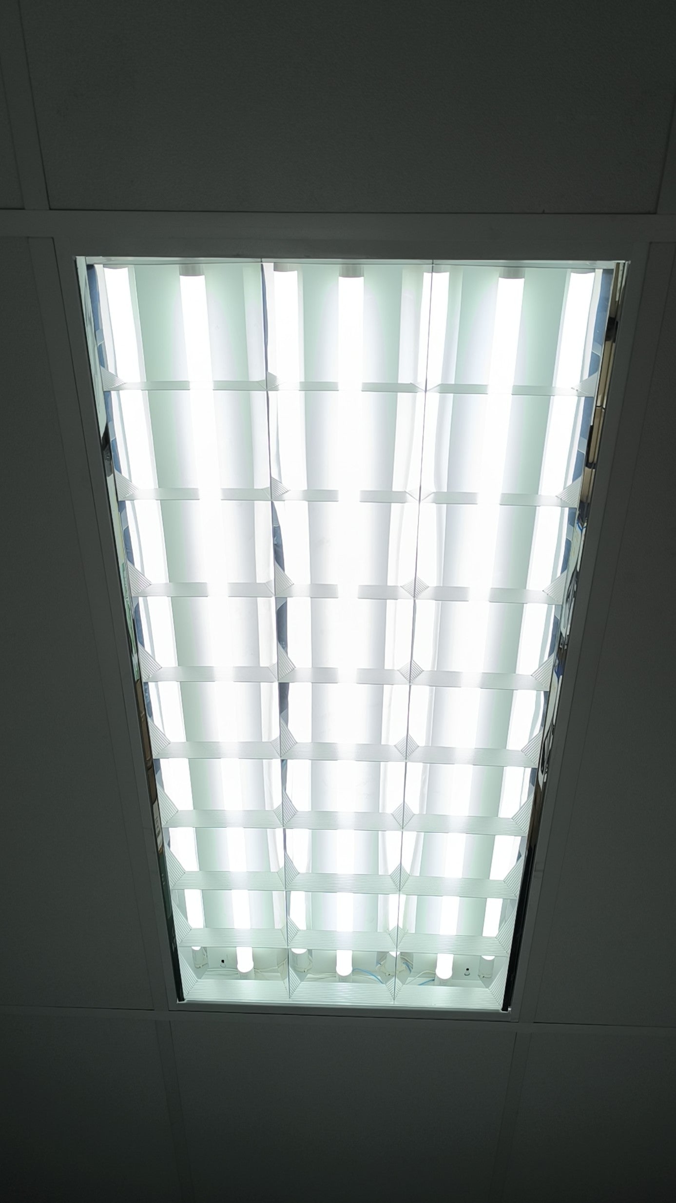 Hello Today T8 4Ft 1.2m 20w AC230v Frosted 6500K LED Tube - Electromann SA