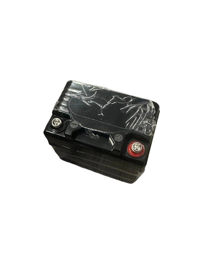 12.8V 5Ah LifePo4 Rechargeable Battery (10008211) - Electromann SA
