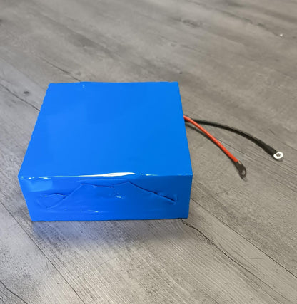 12.6v 50Ah Rechargeable Li-ion Battery Pack with Built-in BMS (10003643)