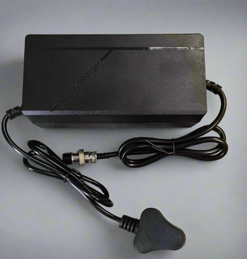 ETN-888 14.6v DC 10Amp 150watt Intelligent Lithium Battery Charger for Electric Scooters - Electromann SA