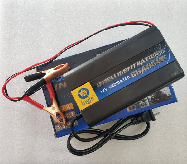 12v 10A Intelligent Pulse Charger