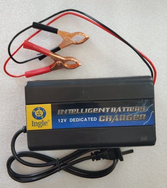 12v 10A Intelligent Pulse Charger