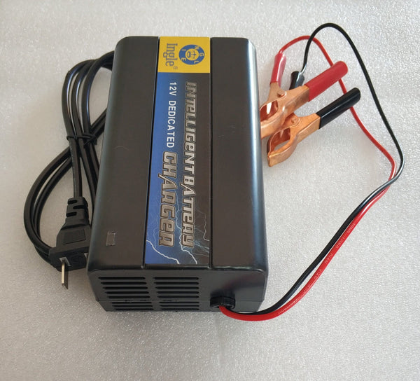 12v 10A Intelligent Pulse Charger