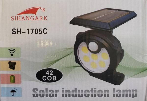 I-30 LED Solar Wall-Ground Induction ukukhanya