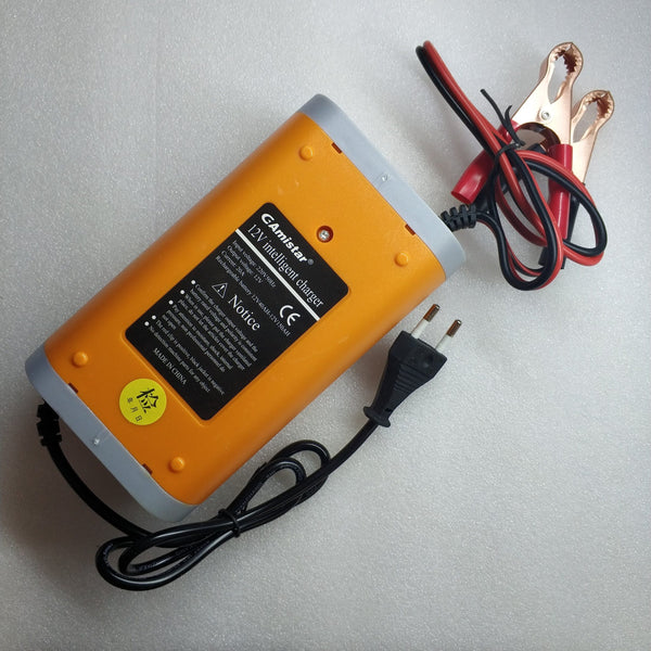 12v 20A Intelligent Pulse Charger