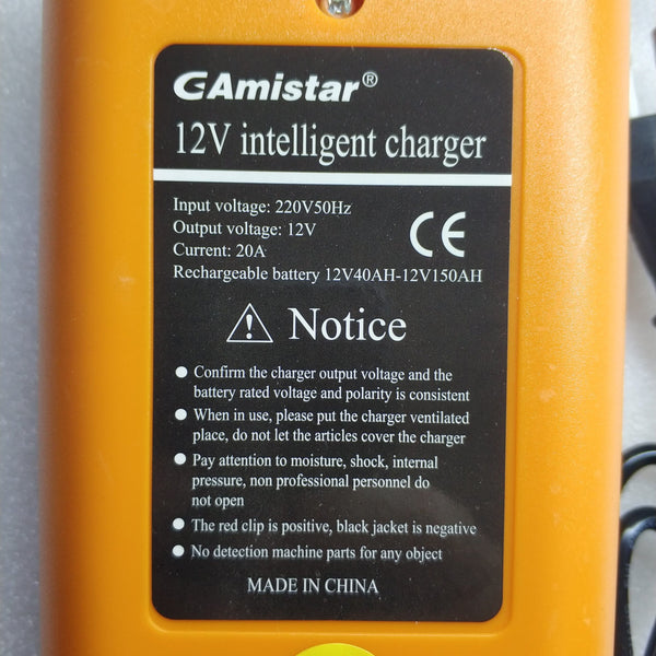 12v 20A Intelligent Pulse Charger