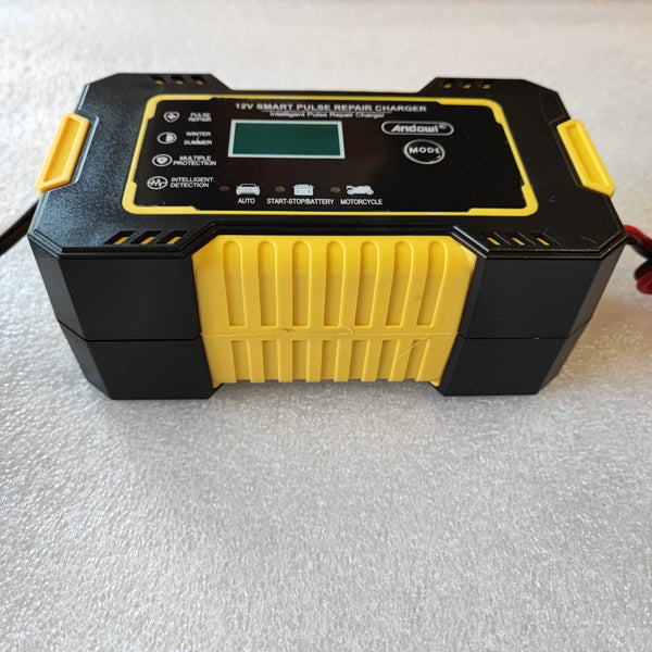 Andowl Q-DP9921 12V Intelligent Rapid Battery Charger - Fast and Efficient Charging