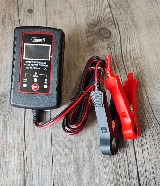 ANDOWL Q-DC1202 6v/12v 2Amp Intelligent Pulse Repair Battery Charger - Restore and Maintain Battery Performance