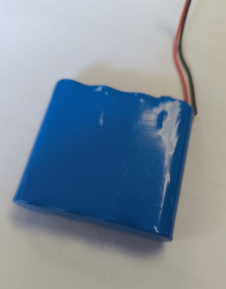 8000mah 3.7v Lithium 18650 Cell Battery with BMS (10008113) - Electromann SA