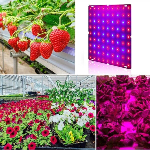 45W Full Spectrum UV + IR LED Plant Grow Light