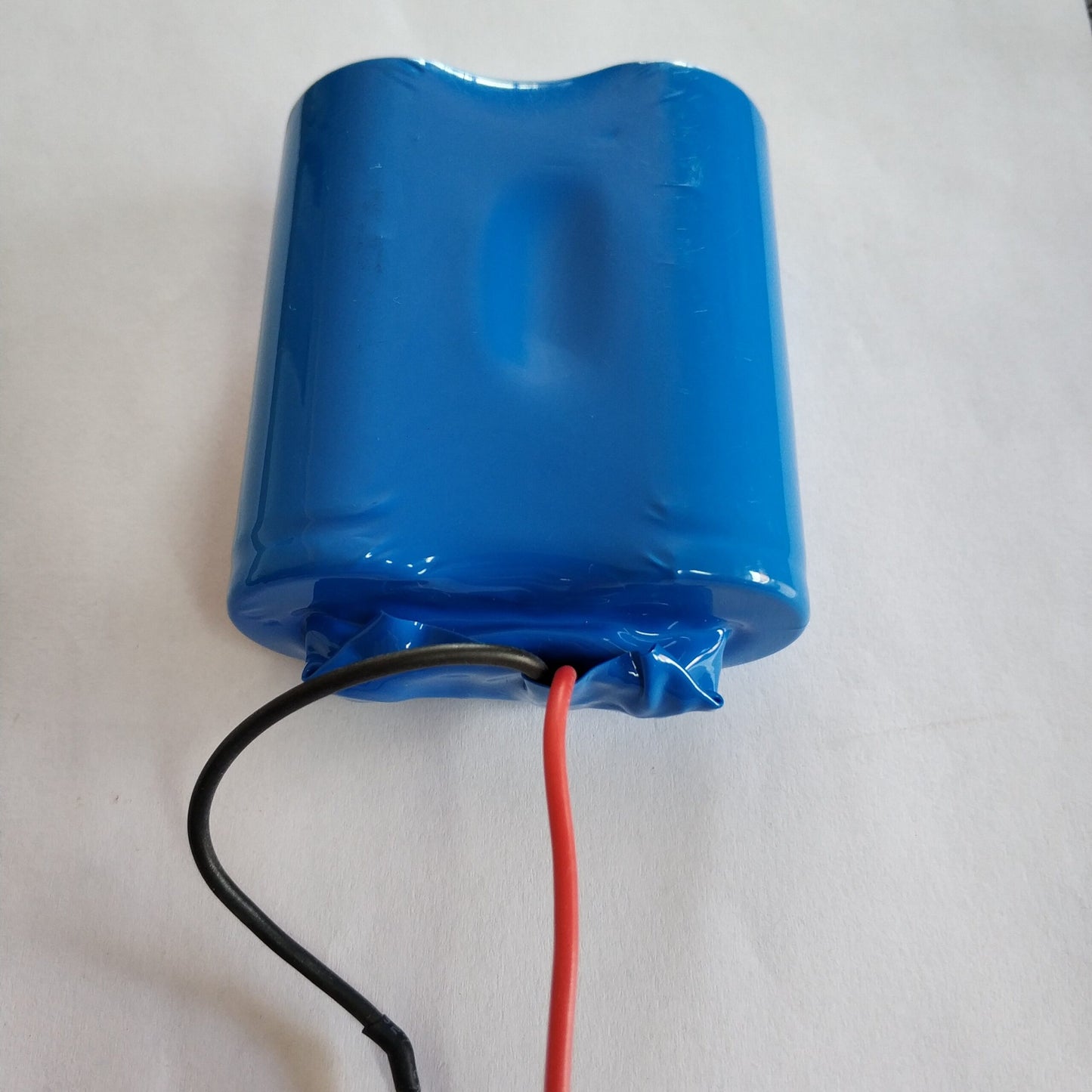 10ah 3.2v LiFePo4 Battery with BMS - Electromann SA