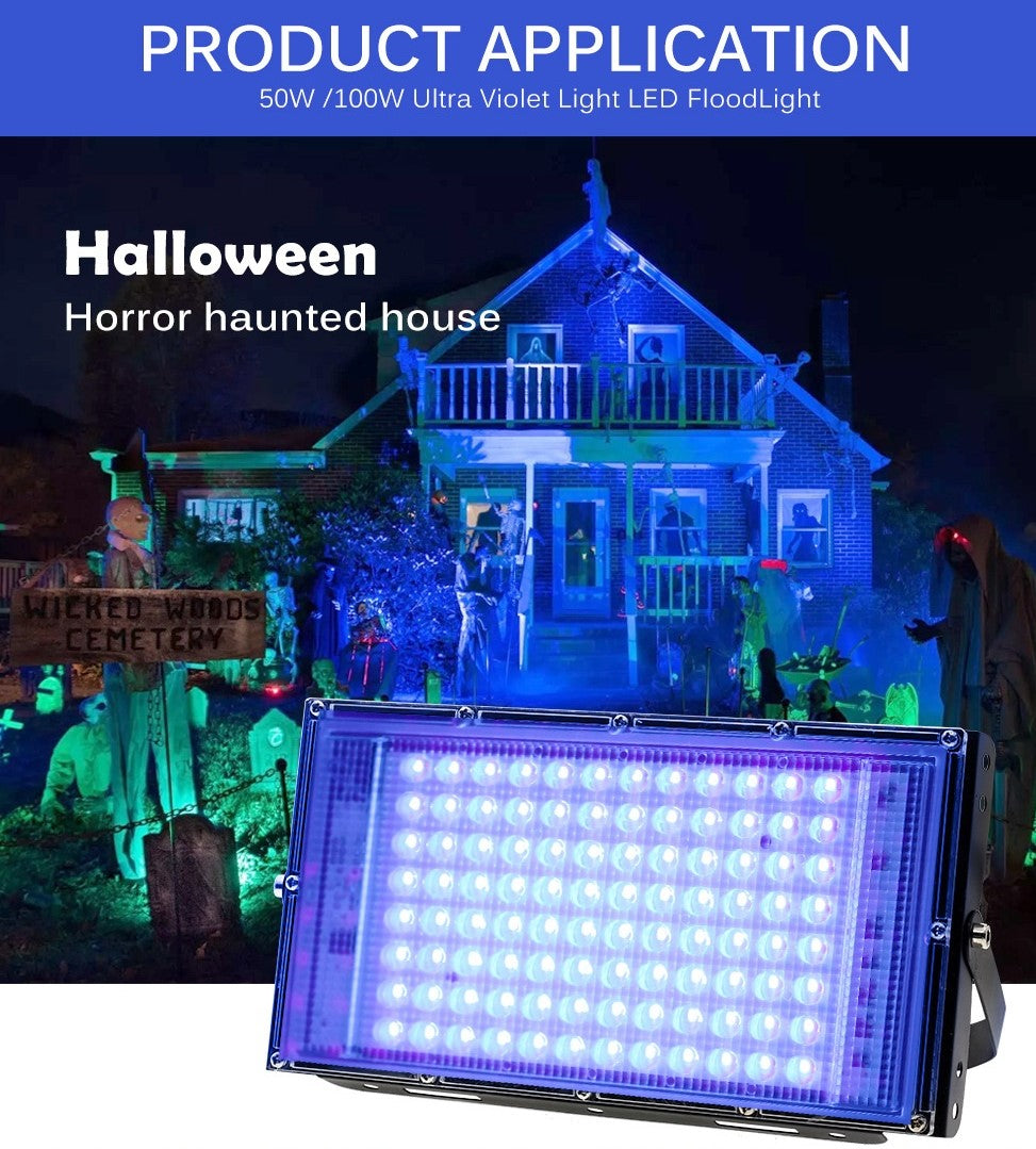 UV Led 100W AC 220V Outdoor Weatherproof IP65 Floodlight - Electromann SA