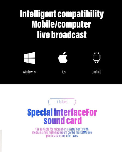 BM800 Condenser Microphone Pro Audio Studio Sound Recording Kit - Professional-Quality Microphone for Clear and Detailed Sound Recording - Electromann SA