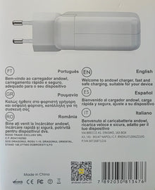 Andowl Q-KC03 100Watt Type-C High Speed Mobile Phone Charger - Electromann SA