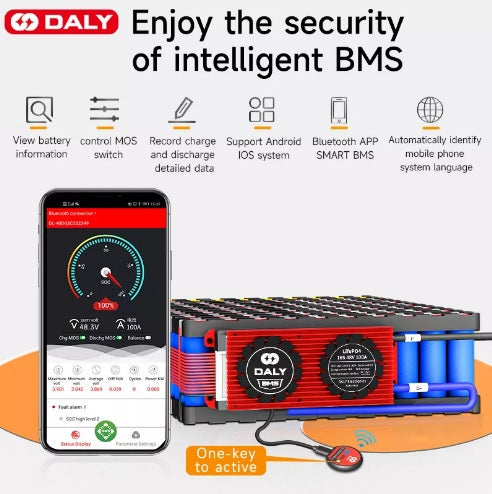 DALY 15S (48v) LiFePo4 150Amp Smart BMS with CANBUS - Electromann SA