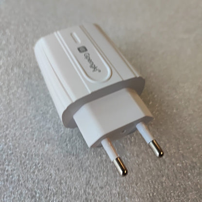 Gpengkj PD 18watt USB-C Wall Charger - Electromann SA