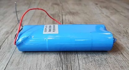 GDPLUS 20ah 3.2v LiFePo4 Battery with BMS - Reliable Power for Solar Power Systems and Electric Vehicles - Electromann SA