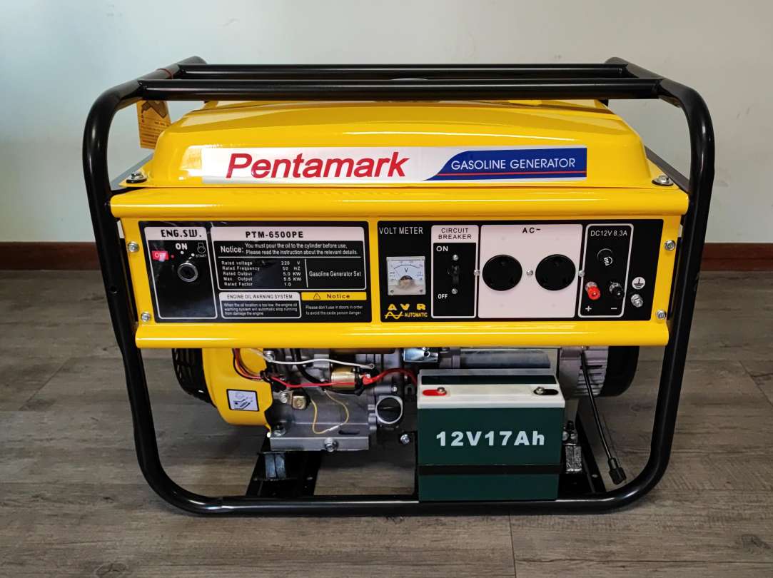 Pentamark PTM-6500PE Portable Petrol Generator - Reliable and Versatile Power Source - Electromann SA