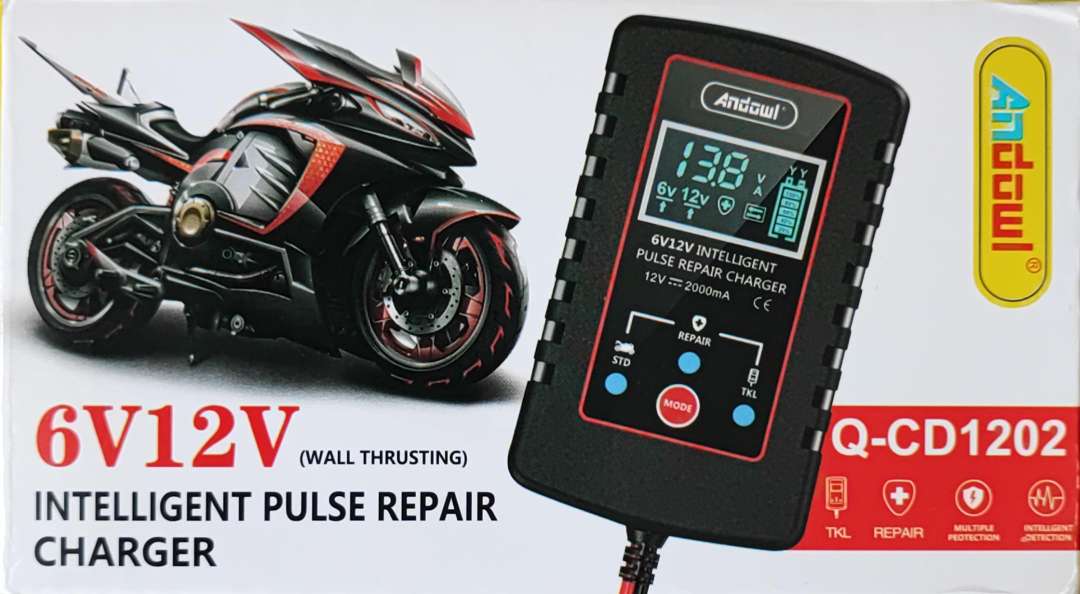 ANDOWL Q-DC1202 6v/12v 2Amp Intelligent Pulse Repair Battery Charger - Restore and Maintain Battery Performance - Electromann SA