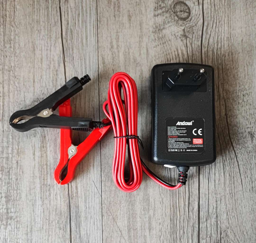 ANDOWL Q-DC1202 6v/12v 2Amp Intelligent Pulse Repair Battery Charger - Restore and Maintain Battery Performance - Electromann SA