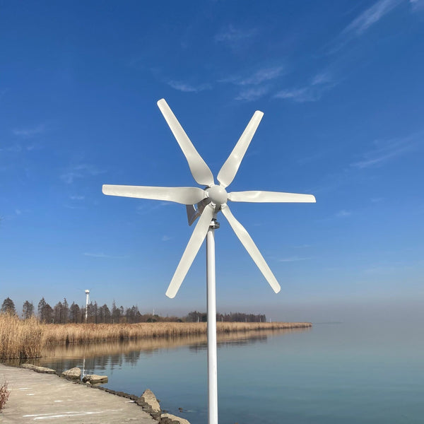 800W 24V 6 Blade Small Wind Turbine for Home Use - Clean and Efficient Energy Generation