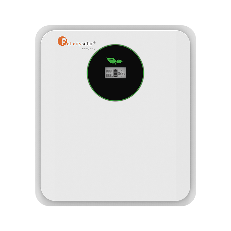 Felicity Solar 2.56kWh 24V 100Ah LiFePO₄ Lithium Battery (FLA Series) (10008372)