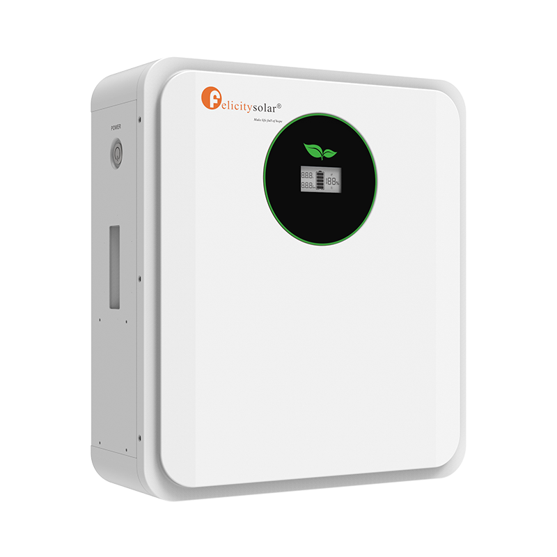 Felicity Solar 2.56kWh 24V 100Ah LiFePO₄ Lithium Battery (FLA Series) (10008372)