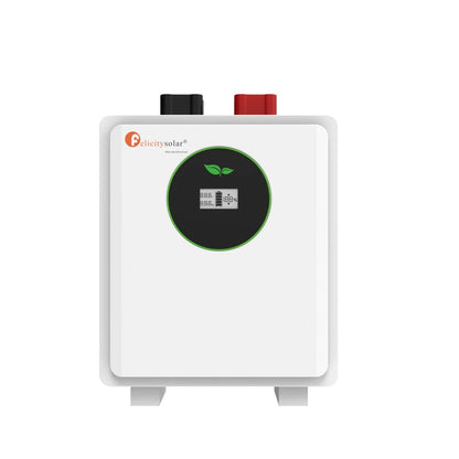 Felicity Solar 2.56kWh 24V 100Ah LiFePO₄ Low Voltage Lithium Battery (FLA Series) (10008373)