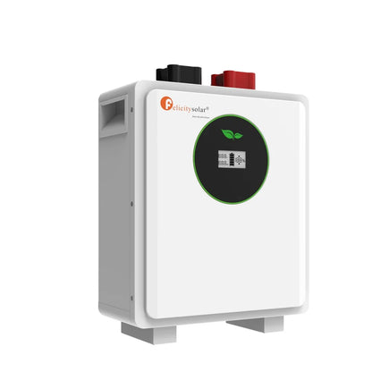 Felicity Solar 2.56kWh 24V 100Ah LiFePO₄ Low Voltage Lithium Battery (FLA Series) (10008373)