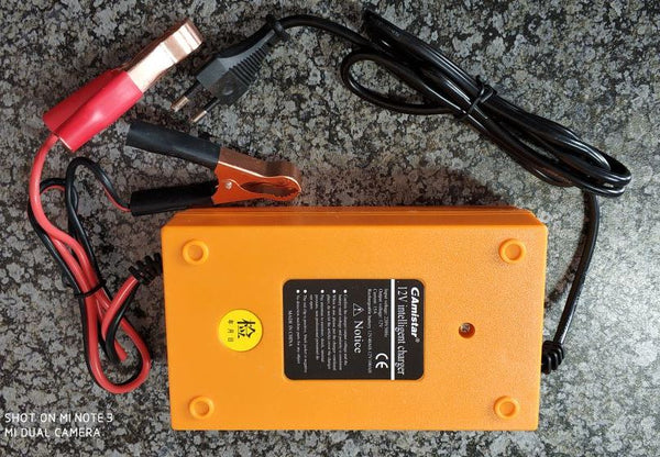 12v 15A Intelligent Pulse Charger