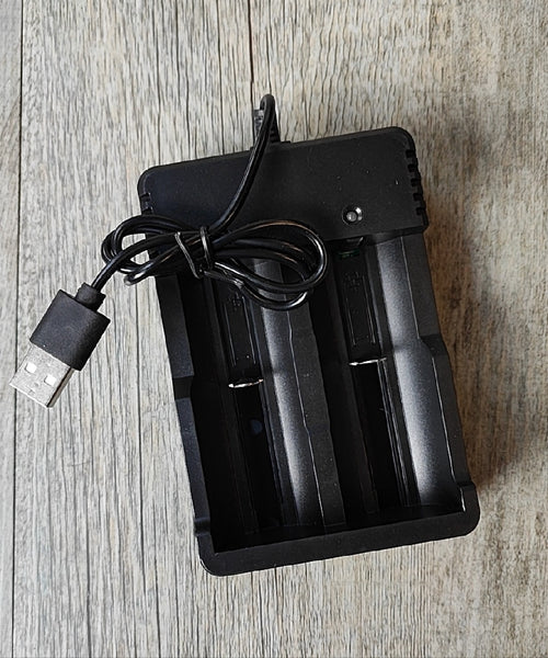 Dual Slot USB Powered 2Amp Lithium Battery Charger