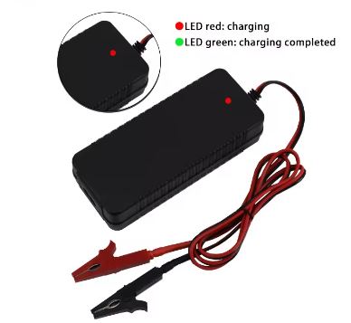 3.65V 5Amp Lifepo4 Cell Battery Balance Charger - Electromann SA