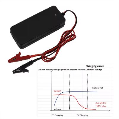 3.65V 5Amp Lifepo4 Cell Battery Balance Charger - Electromann SA
