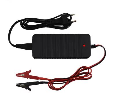 3.65V 5Amp Lifepo4 Cell Battery Balance Charger - Electromann SA