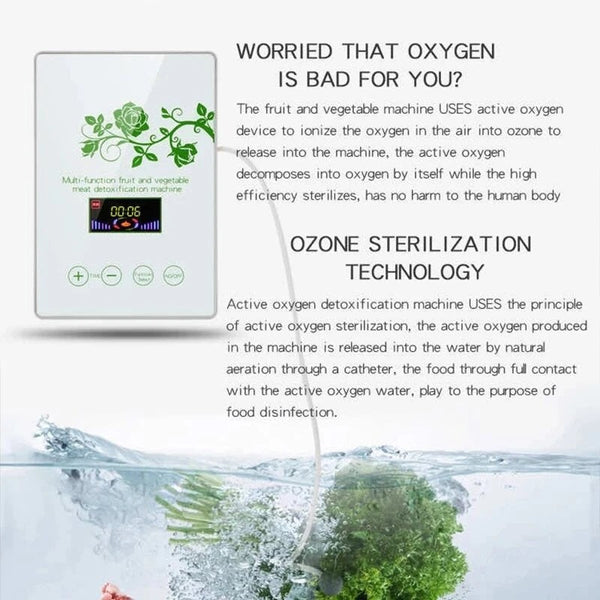 Multi-functional Active Ozone Generator 600mg/h