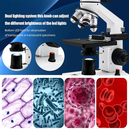 Professional Biomedical Compound Microscope 40X-2500X Magnification (10000808) - Electromann SA