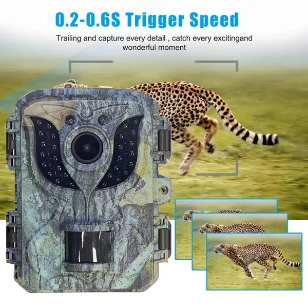 DL005-1 Trail Camera 1080P HD Night Vision, Motion Sensor, Wildlife Cam